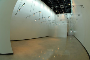 Rosemary-Duffy-Larson-Gallery