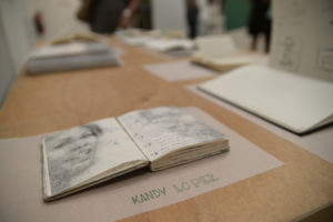Flip Out: Artists' Sketchbooks, installation view, Kandy Lopez, photo by Voltagge